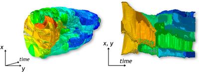 Immersive and interactive visualization of 3D spatio-temporal data using a space time hypercube: Application to cell division and morphogenesis analysis